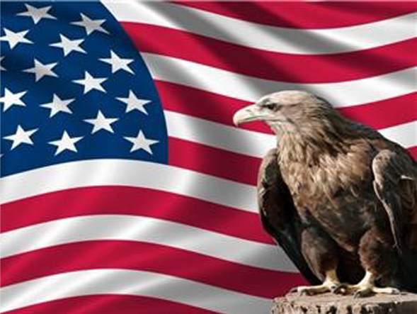 eagle in front of American flag